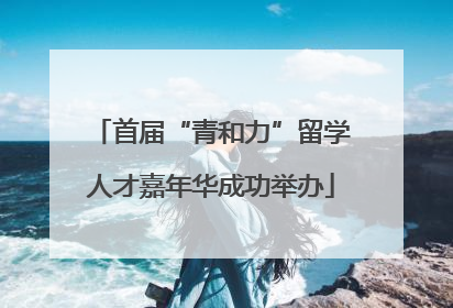 首届“青和力”留学人才嘉年华成功举办