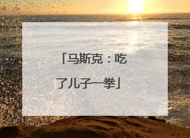 马斯克：吃了儿子一拳