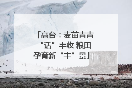 高台：麦苗青青“话”丰收 粮田孕育新“丰”景