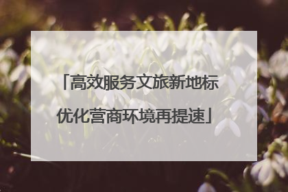 高效服务文旅新地标 优化营商环境再提速