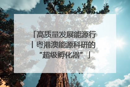高质量发展能源行丨粤港澳能源科研的“超级孵化器”