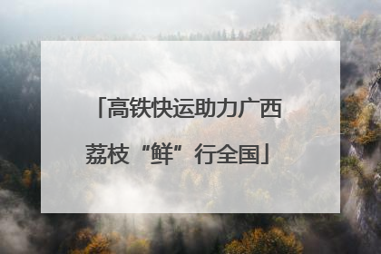 高铁快运助力广西荔枝“鲜”行全国