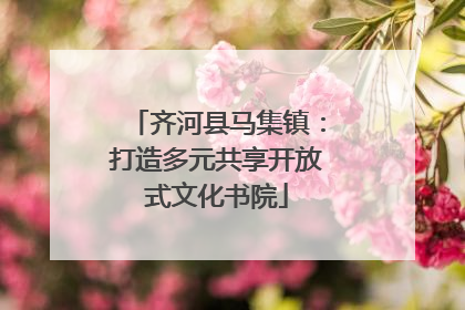 齐河县马集镇：打造多元共享开放式文化书院