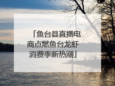 鱼台县直播电商点燃鱼台龙虾消费季新热潮