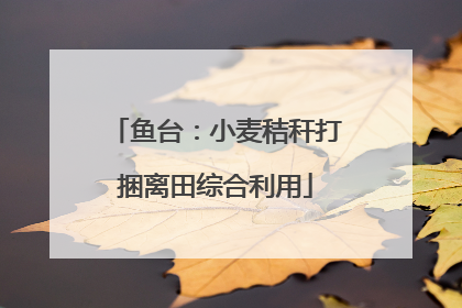 鱼台：小麦秸秆打捆离田综合利用