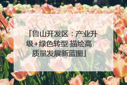 鲁山开发区：产业升级+绿色转型 描绘高质量发展新蓝图