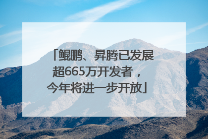 鲲鹏、昇腾已发展超665万开发者，今年将进一步开放