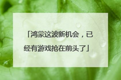 鸿蒙这波新机会，已经有游戏抢在前头了