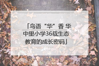鸟语“华”香 华中里小学36载生态教育的成长密码