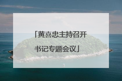 黄喜忠主持召开书记专题会议