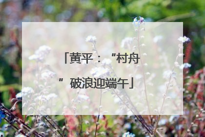 黄平：“村舟”破浪迎端午