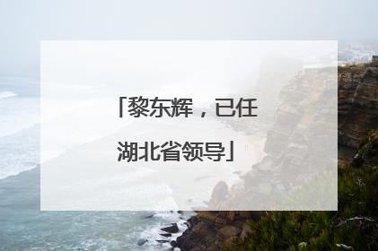 黎东辉，已任湖北省领导