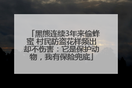 黑熊连续3年来偷蜂蜜 村民防盗花样频出却不伤害：它是保护动物，我有保险兜底