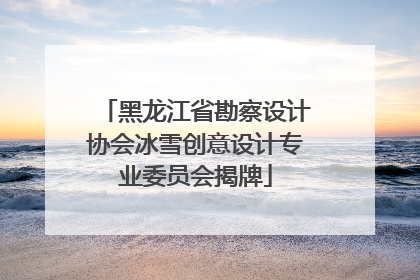 黑龙江省勘察设计协会冰雪创意设计专业委员会揭牌