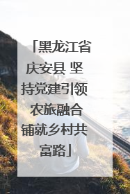 黑龙江省庆安县 坚持党建引领 农旅融合铺就乡村共富路