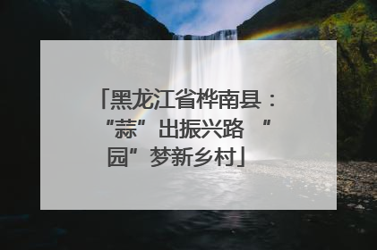 黑龙江省桦南县：“蒜”出振兴路 “园”梦新乡村