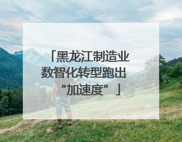 黑龙江制造业数智化转型跑出“加速度”