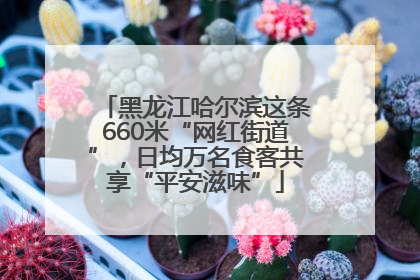 黑龙江哈尔滨这条660米“网红街道”，日均万名食客共享“平安滋味”