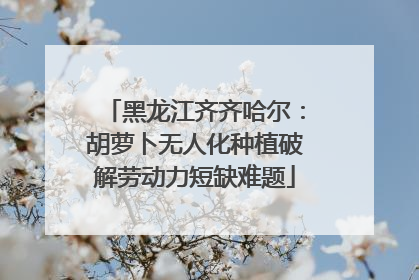 黑龙江齐齐哈尔：胡萝卜无人化种植破解劳动力短缺难题
