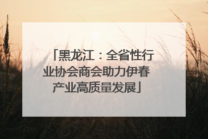 黑龙江：全省性行业协会商会助力伊春产业高质量发展