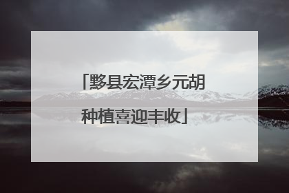 黟县宏潭乡元胡种植喜迎丰收