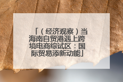 （经济观察）当海南自贸港遇上跨境电商综试区：国际贸易添新动能