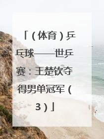（体育）乒乓球——世乒赛：王楚钦夺得男单冠军（3）