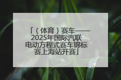 （体育）赛车——2025年国际汽联电动方程式赛车锦标赛上海站开赛