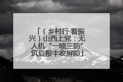 （乡村行·看振兴）山西上党：无人机“一喷三防”筑夏粮丰收屏障