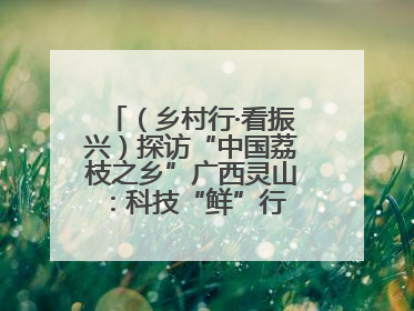 （乡村行·看振兴）探访“中国荔枝之乡”广西灵山：科技“鲜”行 实“荔”C位
