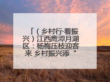 （乡村行·看振兴）江西鹰潭月湖区：杨梅压枝迎客来 乡村振兴添“梅”景