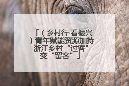 （乡村行·看振兴）青年赋能资源加持 浙江乡村“过客”变“留客”