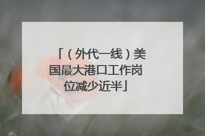 （外代一线）美国最大港口工作岗位减少近半