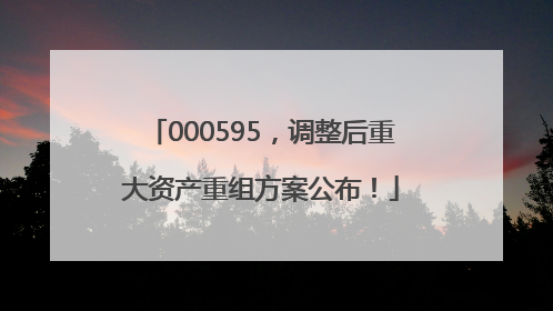 000595，调整后重大资产重组方案公布！