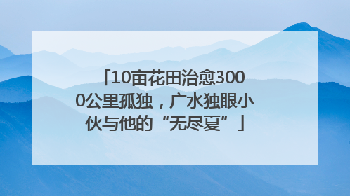 10亩花田治愈3000公里孤独，广水独眼小伙与他的“无尽夏”