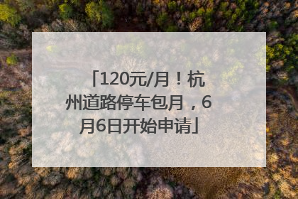 120元/月！杭州道路停车包月，6月6日开始申请