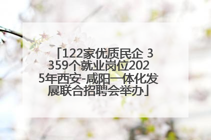 122家优质民企 3359个就业岗位2025年西安-咸阳一体化发展联合招聘会举办