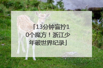 13分钟盲拧10个魔方！浙江少年破世界纪录
