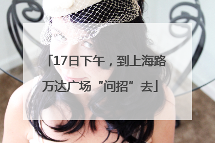 17日下午，到上海路万达广场“问招”去
