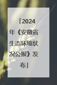 2024年《安徽省生态环境状况公报》发布