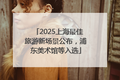 2025上海最佳旅游新场景公布，浦东美术馆等入选