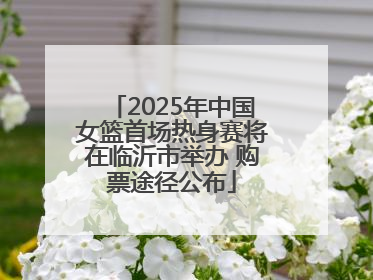 2025年中国女篮首场热身赛将在临沂市举办 购票途径公布