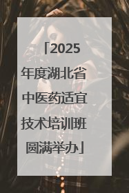 2025年度湖北省中医药适宜技术培训班圆满举办