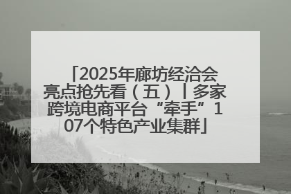 2025年廊坊经洽会亮点抢先看（五）丨多家跨境电商平台“牵手”107个特色产业集群