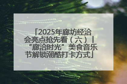 2025年廊坊经洽会亮点抢先看（六）丨“廊洽时光”美食音乐节解锁潮酷打卡方式