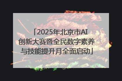 2025年北京市AI创新大赛暨全民数字素养与技能提升月全面启动
