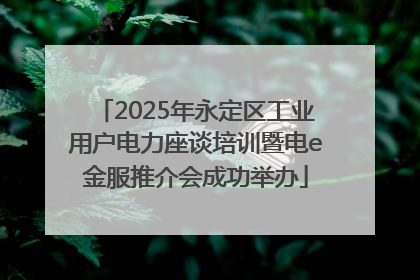 2025年永定区工业用户电力座谈培训暨电e金服推介会成功举办