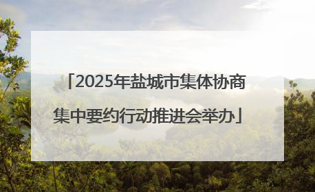 2025年盐城市集体协商集中要约行动推进会举办