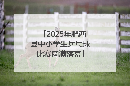 2025年肥西县中小学生乒乓球比赛圆满落幕