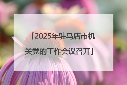 2025年驻马店市机关党的工作会议召开